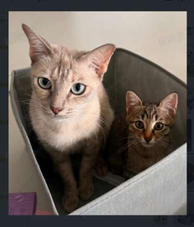 pc 7165fcaa2a3e user1 d6abc057.png