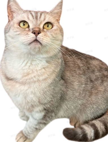 pc 0413c0af2831 user1 36e56c6f.png