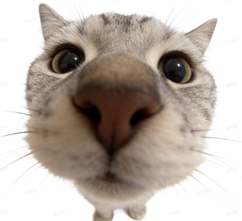 pc 0413c0af2831 user4 c58671d4.png