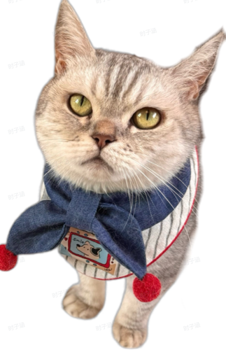 pc 0413c0af2831 user2 166bd218.png