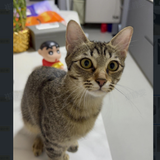 pc 7165fcaa2a3e user3 e17bb140.png