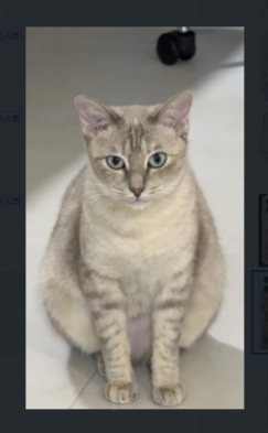 pc 7165fcaa2a3e user2 76437639.png