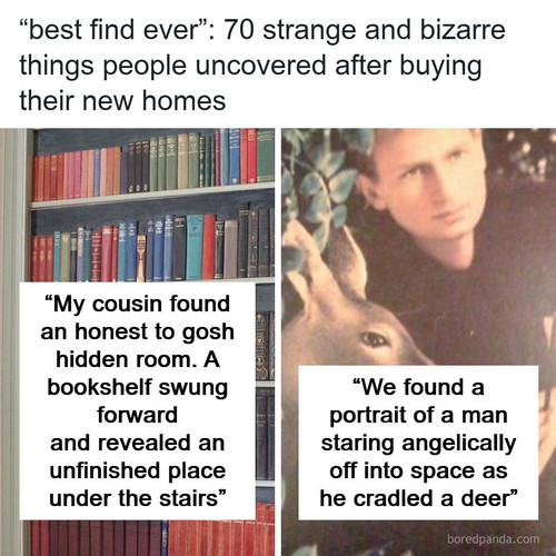 curiosities home.jpg