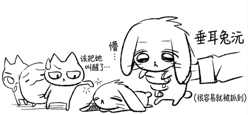 IMG 1438.png