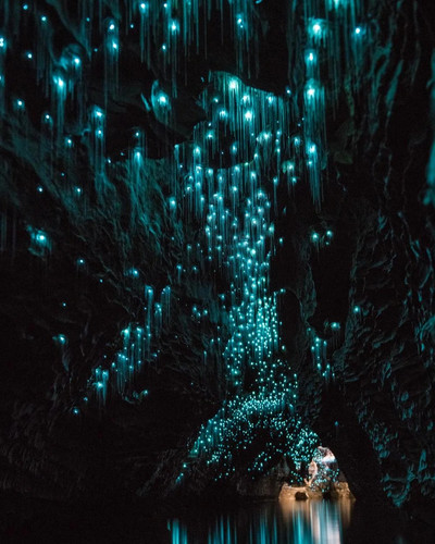 waitomo cave in new zealand luminated by glowworms v0 xggvso1clnc61.jpg