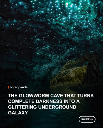 swipe to read.jpg