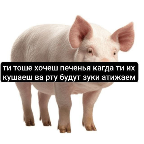 d56e7dca7610.jpg