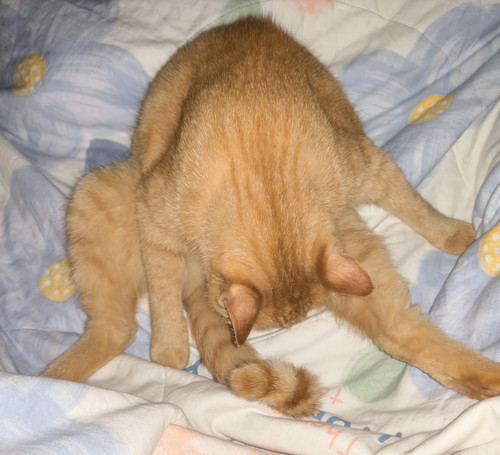IMG 20260610 161011.jpg