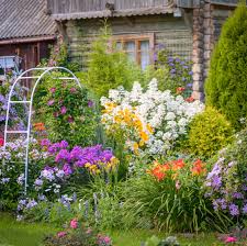 download (23).jpg