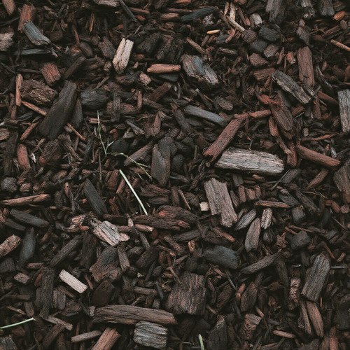 ab499069b127.jpg