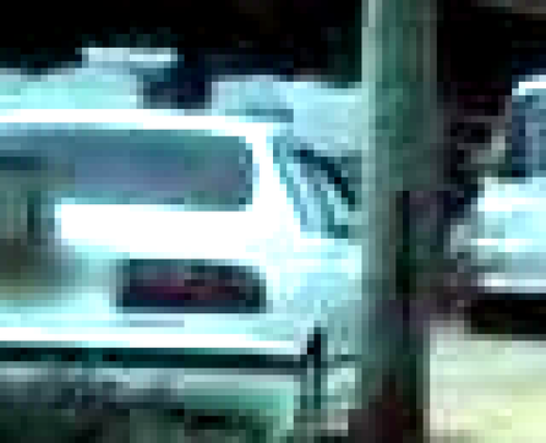 white.png