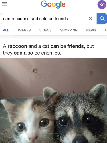 image 2026 06 10T204813.634.png