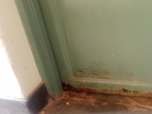 temp.png