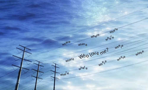 1000026260.jpg