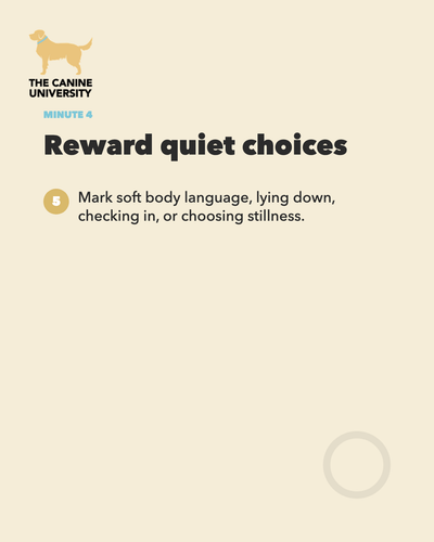 15297841c6b7.png