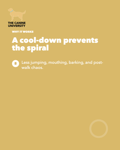 c8d85dd07625.png