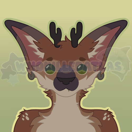 IMG 2369.png