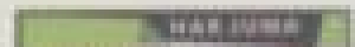 top2.png