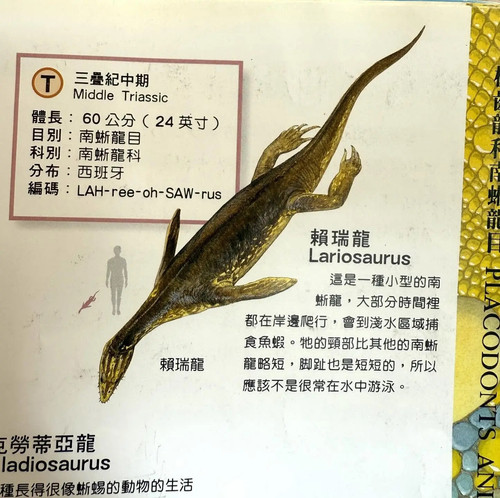 三疊紀賴瑞龍.jpg