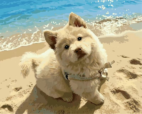 pc bf89dfd2bc49 user3 b0312a38.jpg