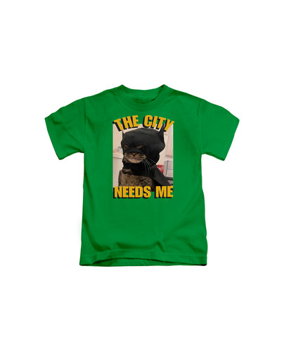d49 cat meme the city needs me+Irish green.jpg