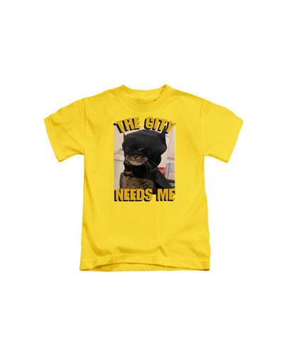 d49 cat meme the city needs me+Yellow.jpg