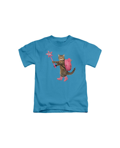 d52 cat and star wand+Sapphire.jpg