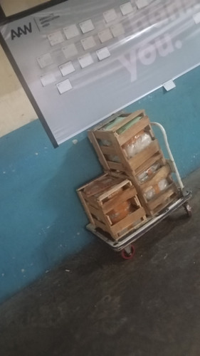 1000409666.jpg