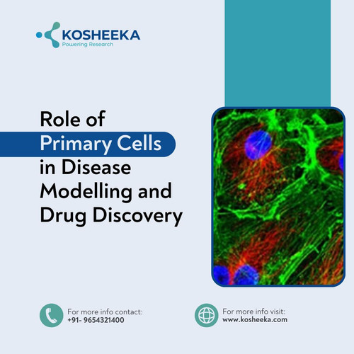 Role of Primary Cells in Disease Modelling and Drug Discovery.jpg