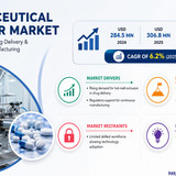 httpswww.24lifesciences.com 2026 06 11T130957.648