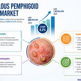 httpswww.24lifesciences.com 2026 06 11T124341.580