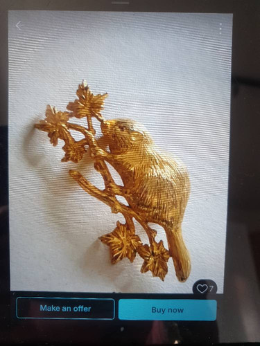 bec1a26bfa4d.jpg