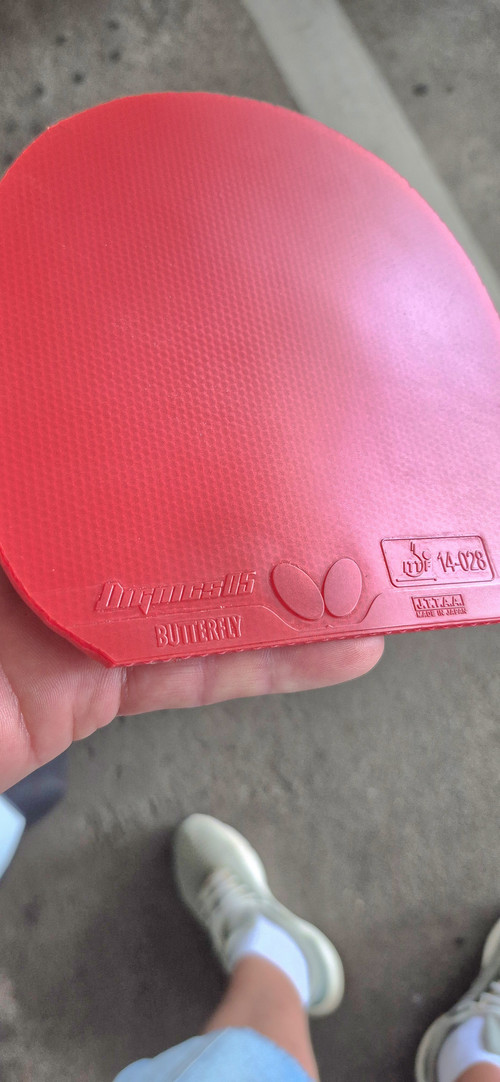 CBcUtEX.md.jpg