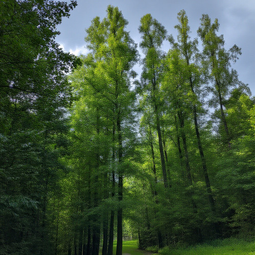 a4d629d5cd3d.jpg