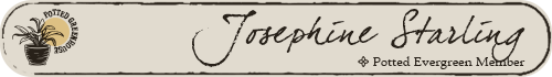potted banner 03 jo evergreen.png