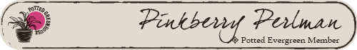 potted banner 09 pink evergreen.png