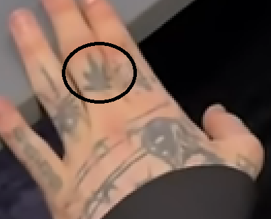 42222111.png