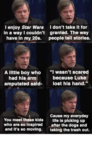 Hamill inspire.webp