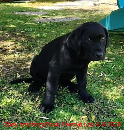 A Zoey 6 9 2026.jpg