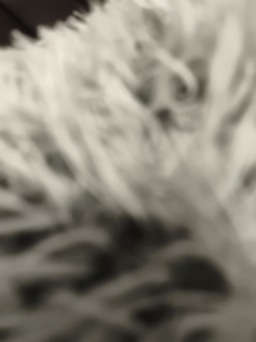 17810380378416041448573288971272.jpg