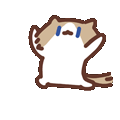 IMG 20260610 094552 545.gif