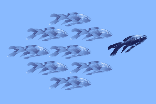 000.png