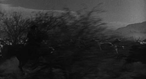 capture 6.png