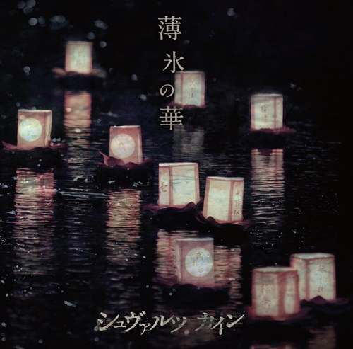 c5dae8f8f21a.png