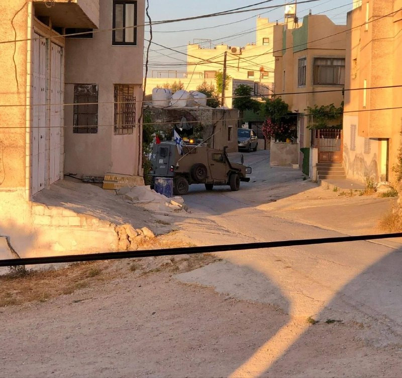 صورة الخبر