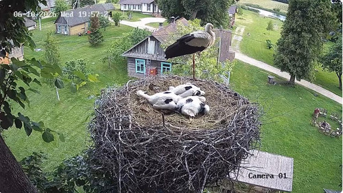 MWSnap652.jpg