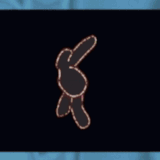 IMG 4719.gif