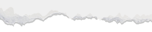 dibu1.png