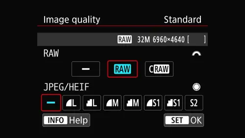 1b74a1d93d3b.webp