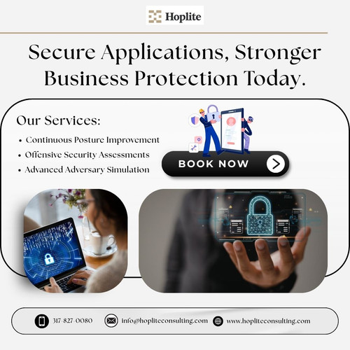 Web Application Security Assessments for Stronger Protection.jpg